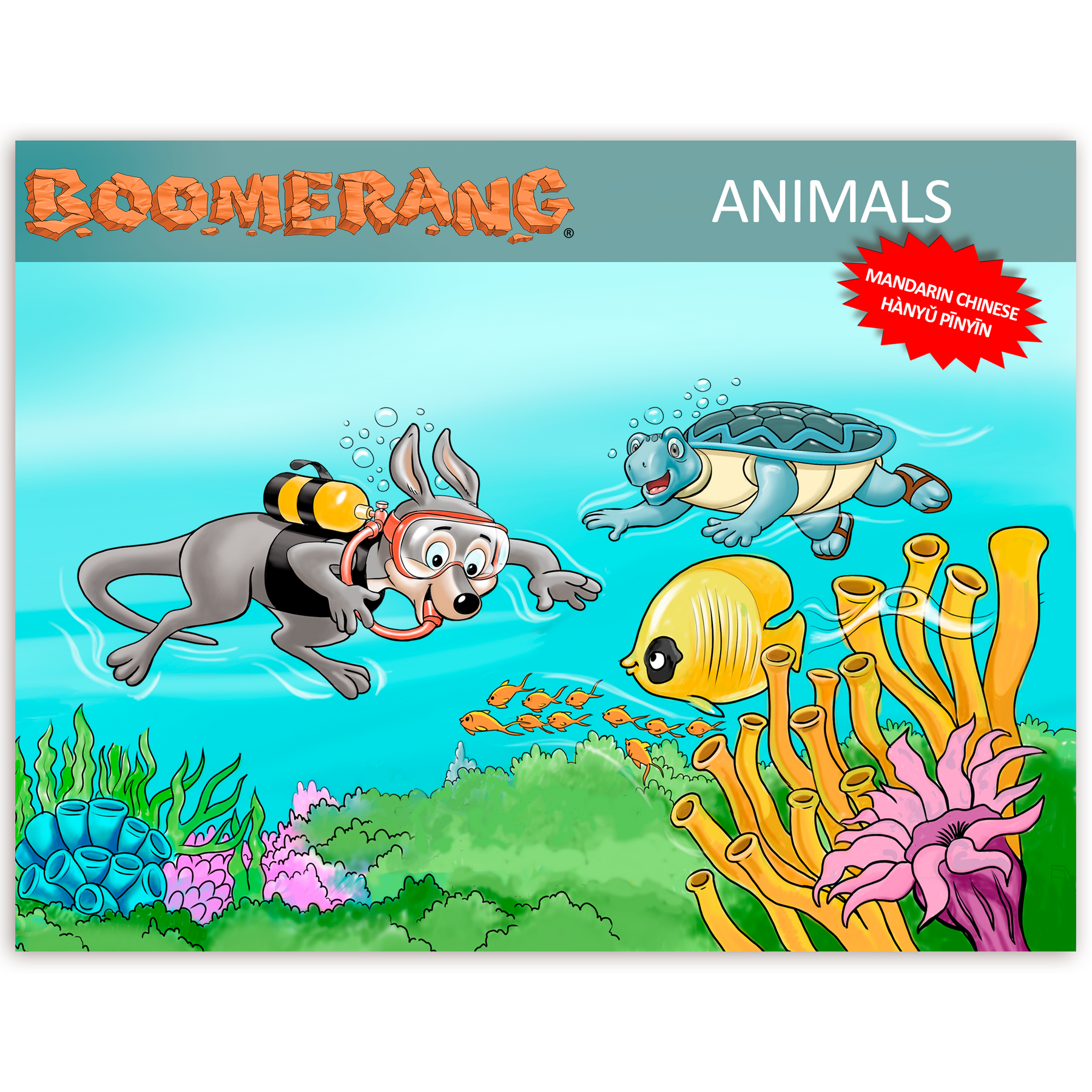 Boomerang Animals Program