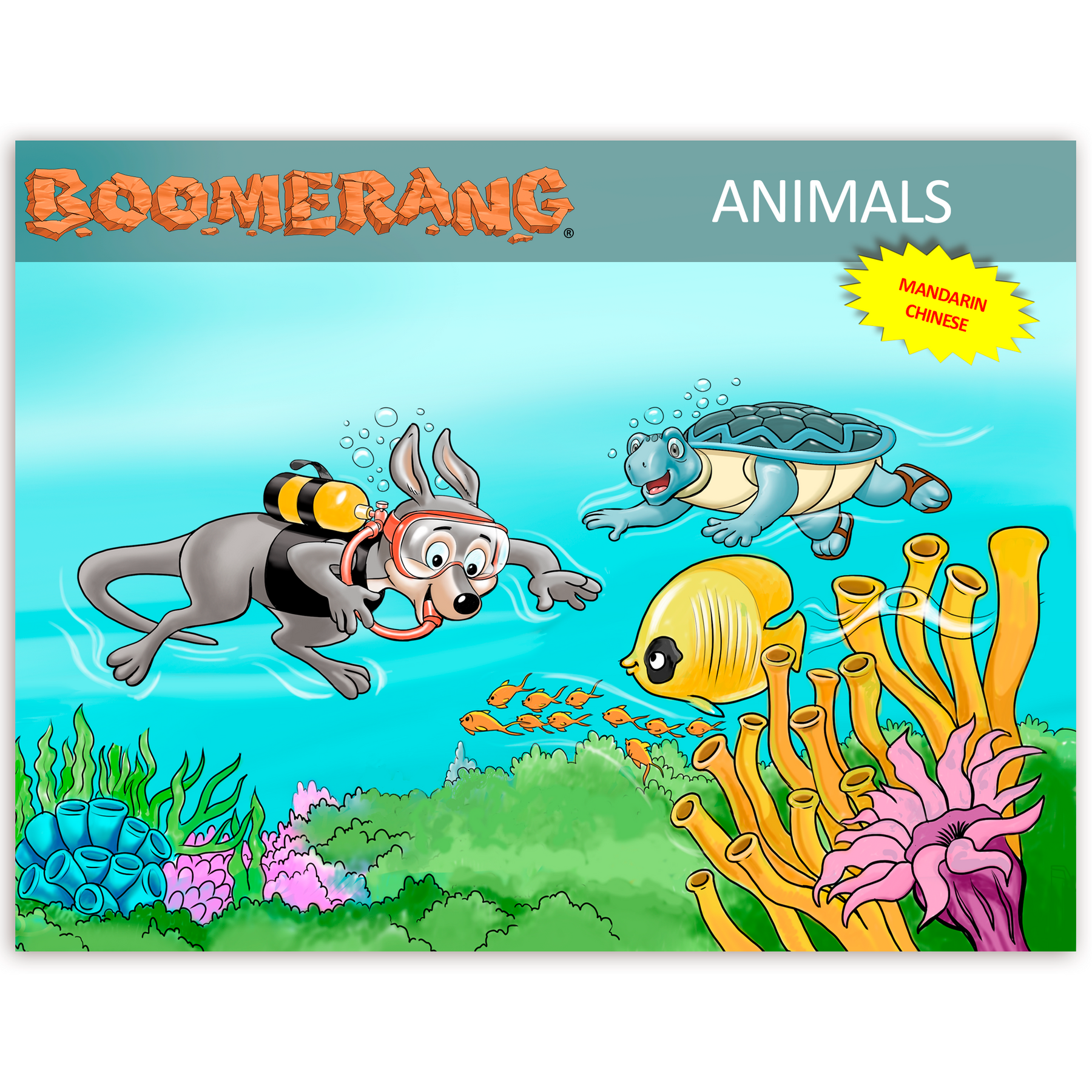 Boomerang Animals Program