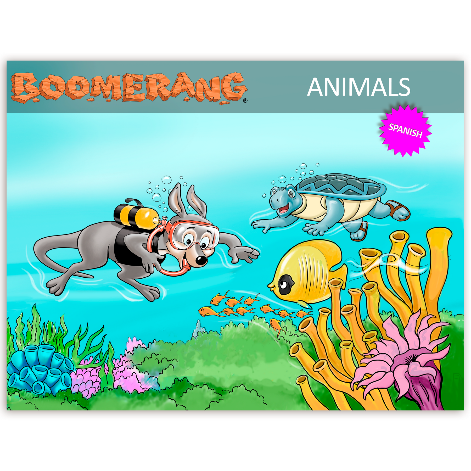 Boomerang Animals Program