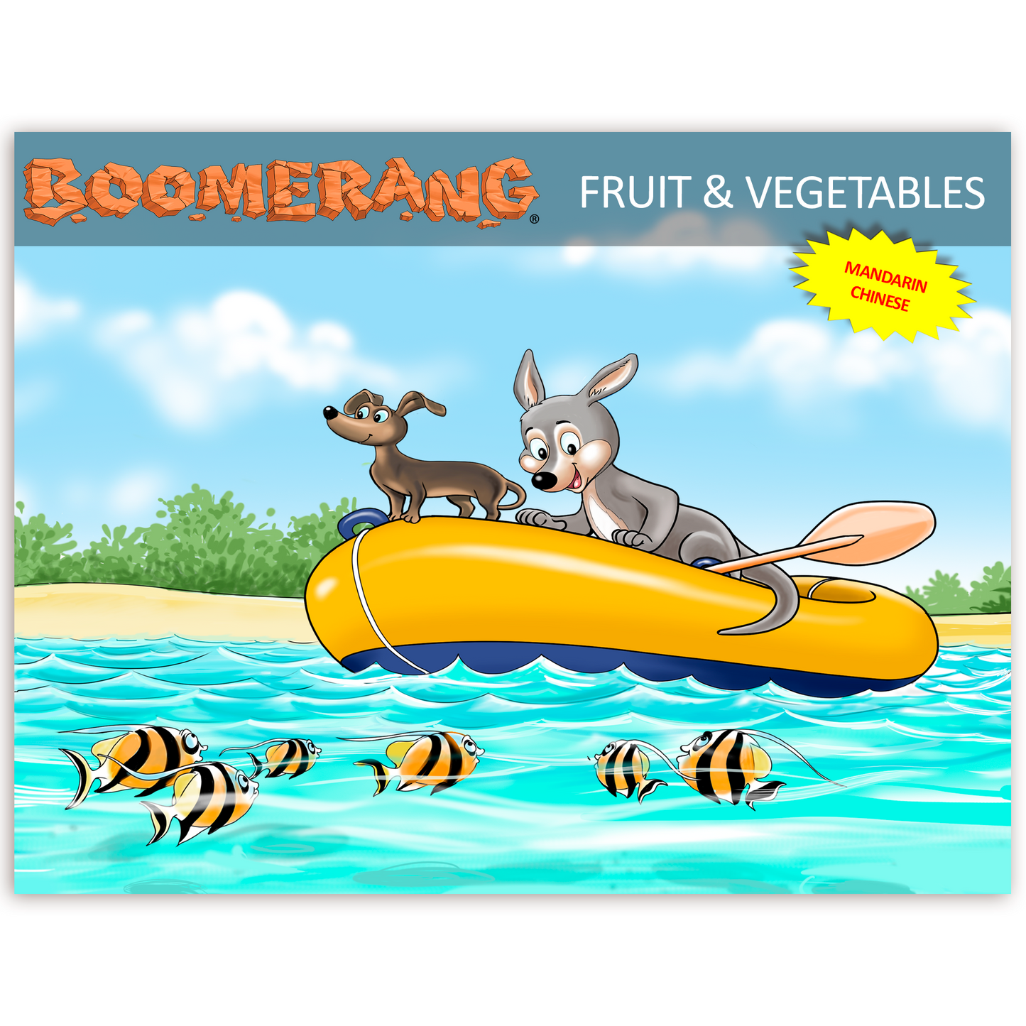 Boomerang Fruit & Vegetables Program
