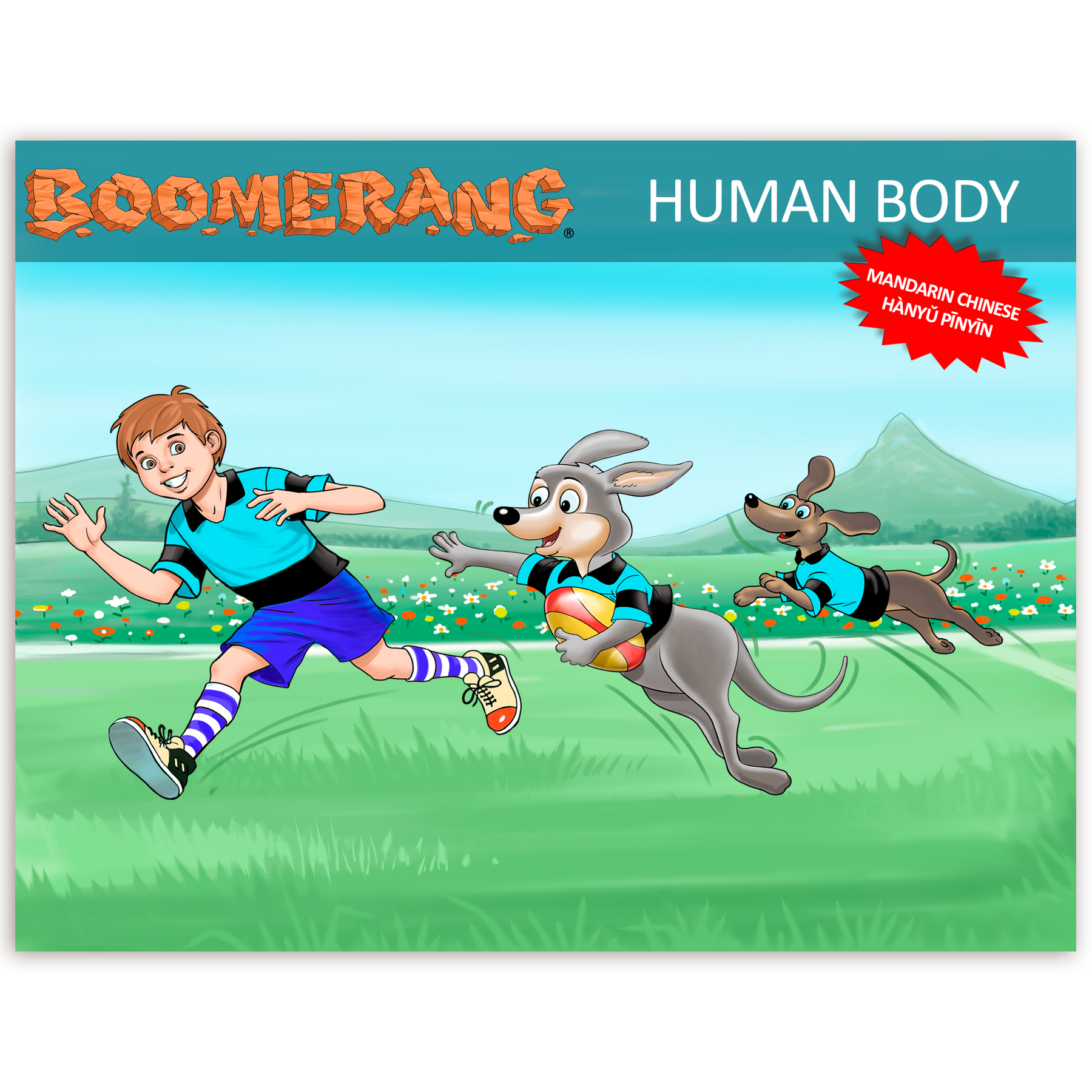 Boomerang Human Body Program