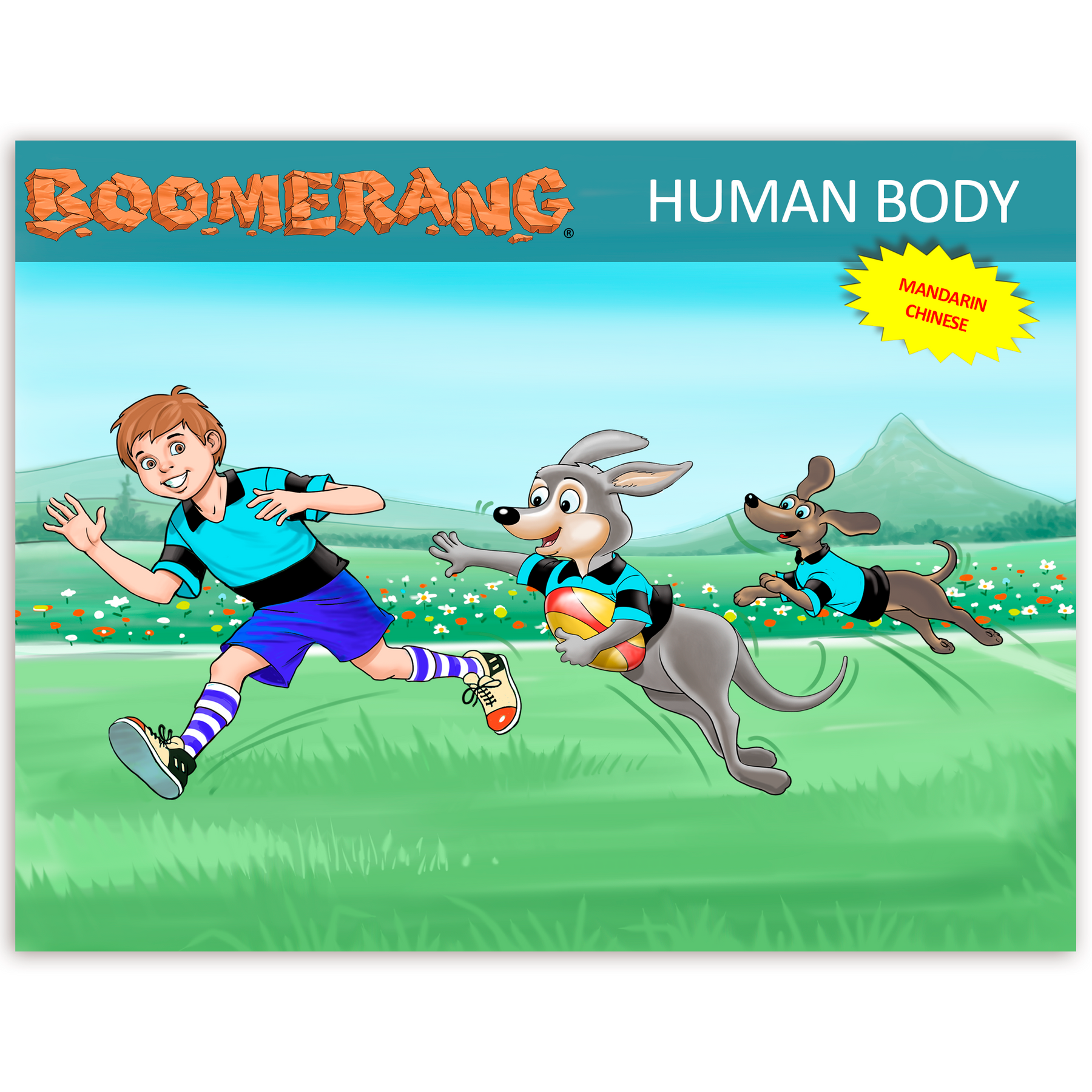 Boomerang Human Body Program