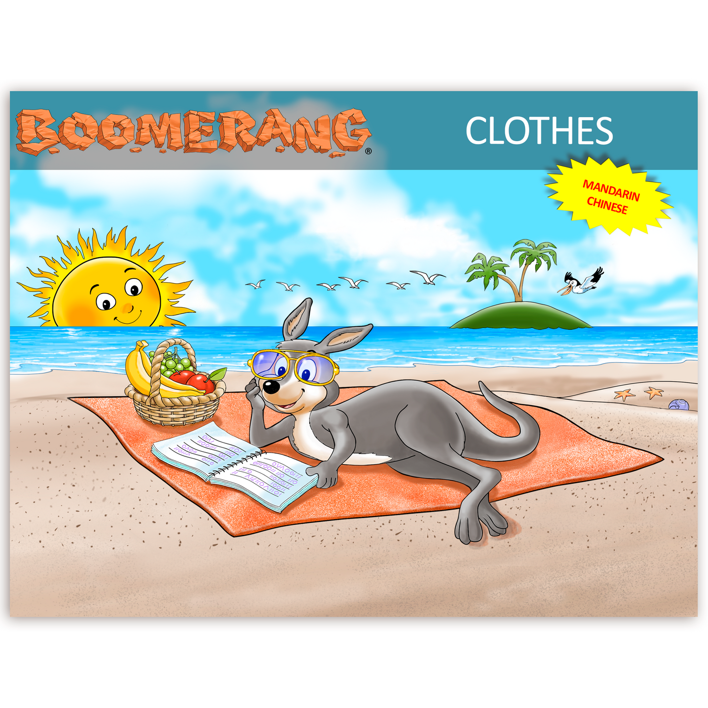 Boomerang Clothes Program