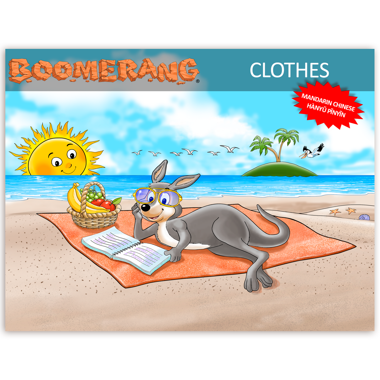 Boomerang Clothes Program