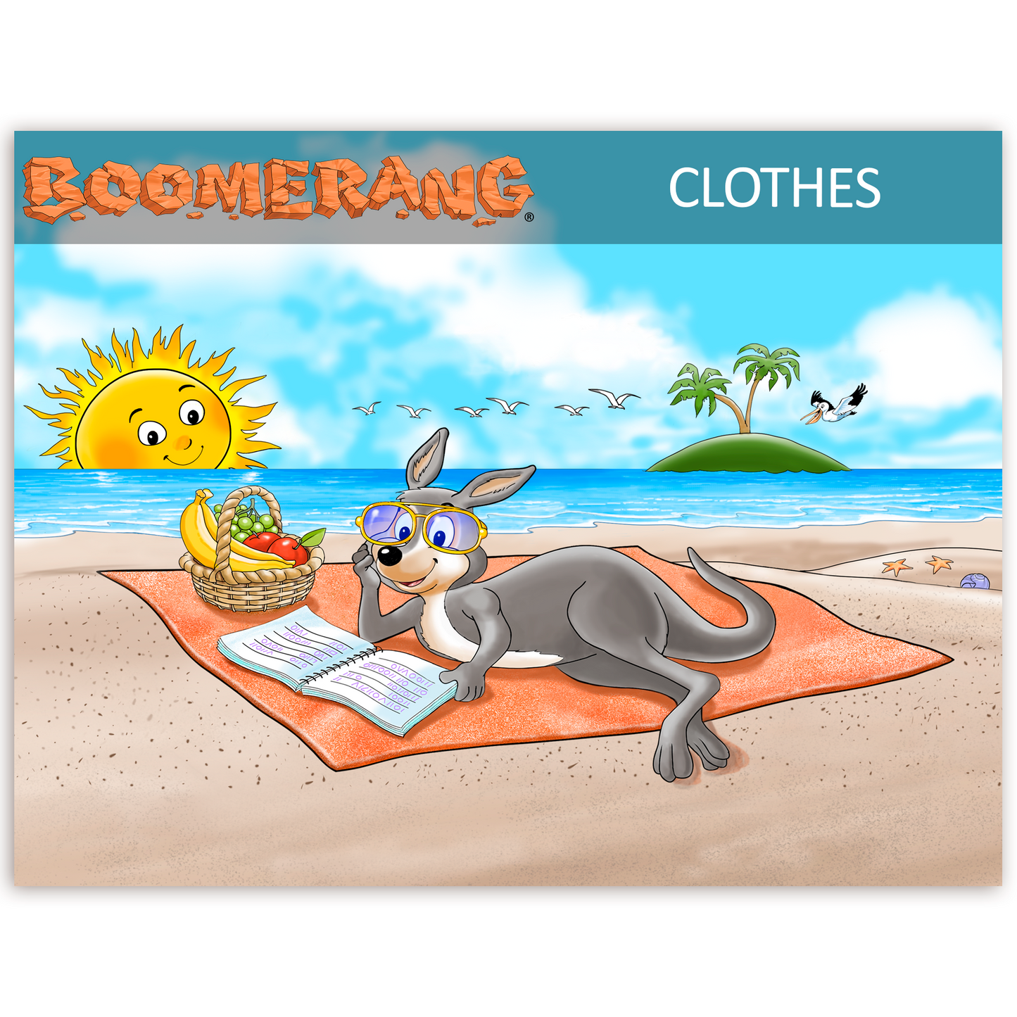 Boomerang Clothes Program