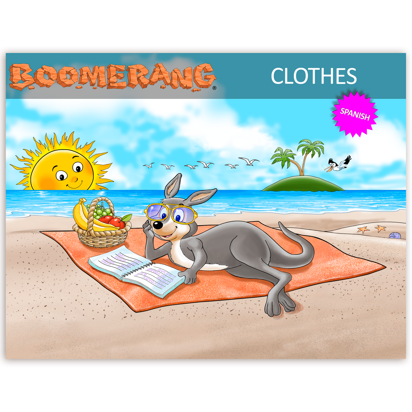 Boomerang Clothes Program