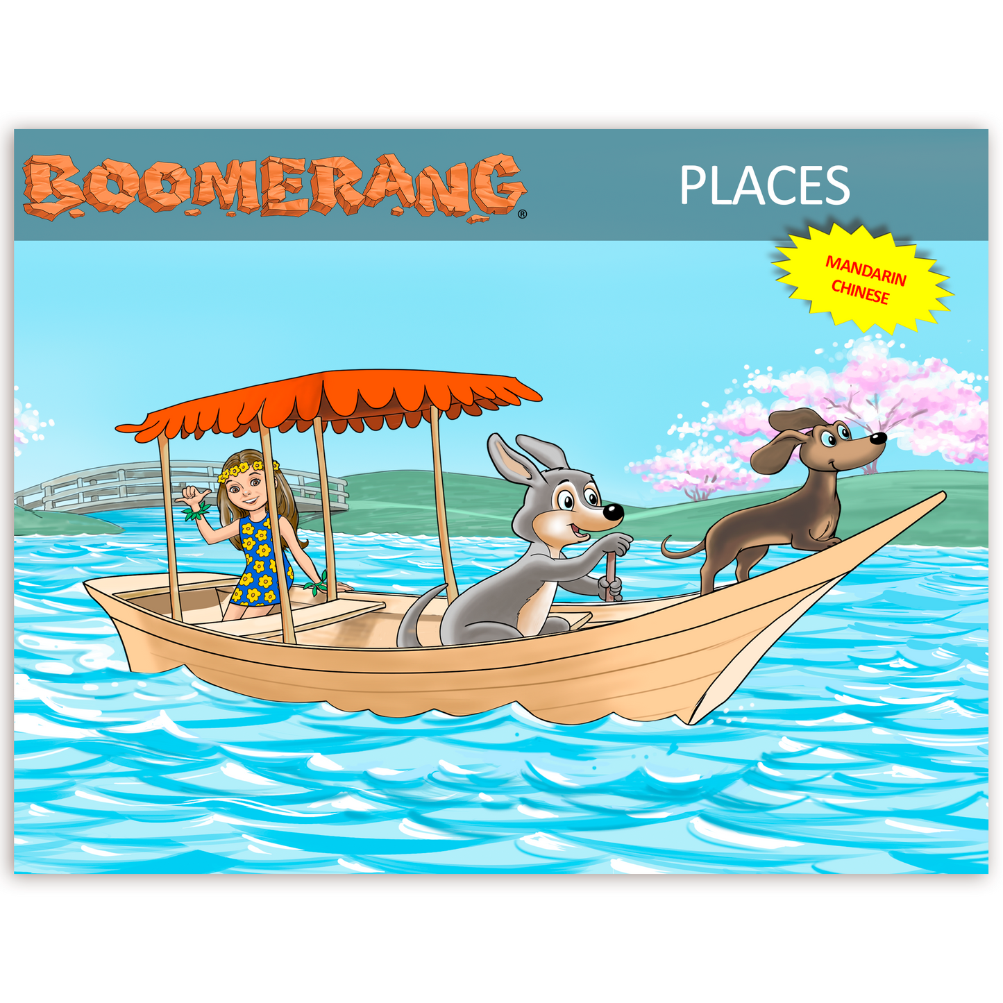 Boomerang Places Program