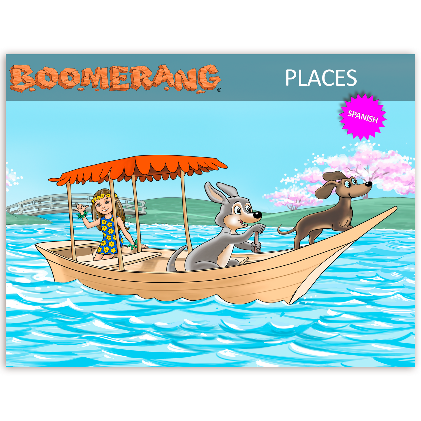 Boomerang Places Program
