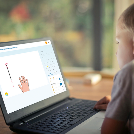 Bamboo Introduction To Addition & Subtraction Program