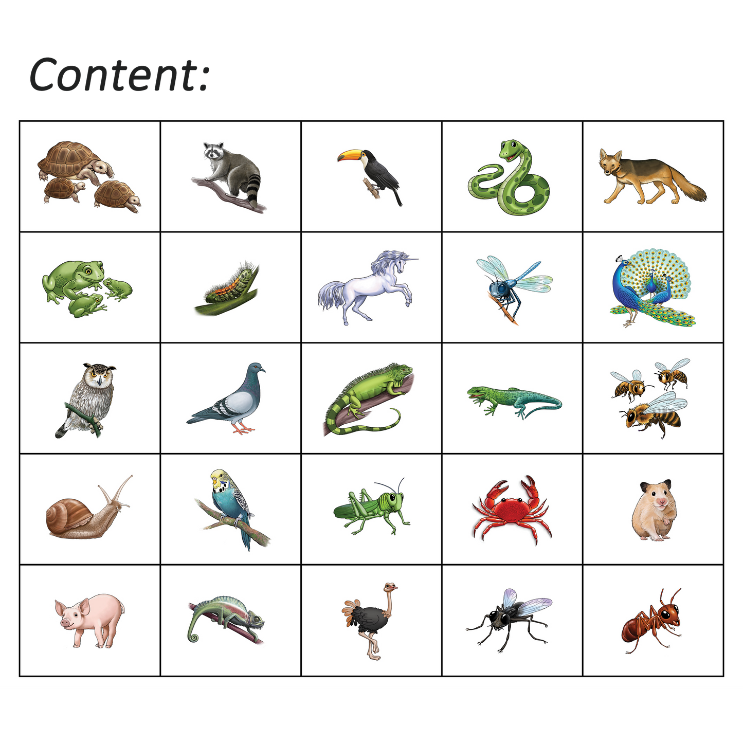 Haka Animals 3 Program
