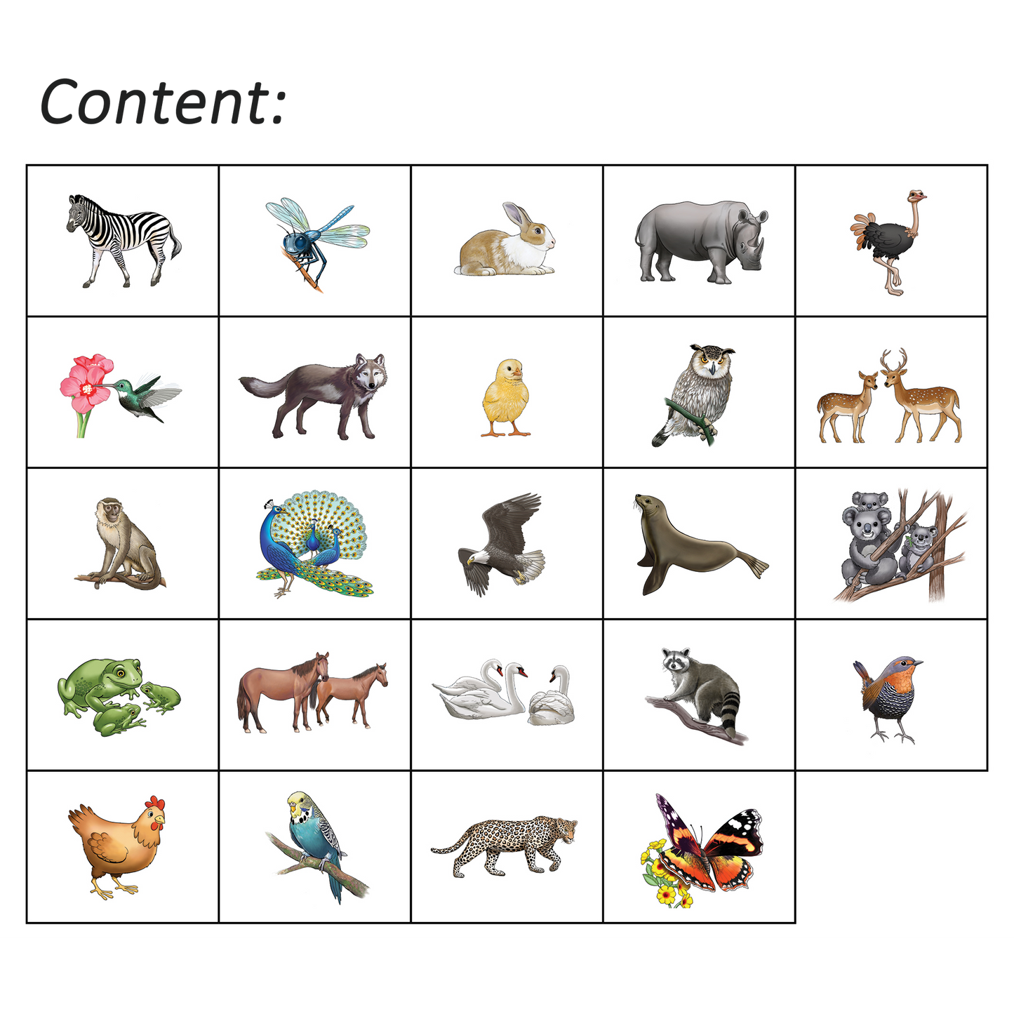 Shaka Animals 2 Program