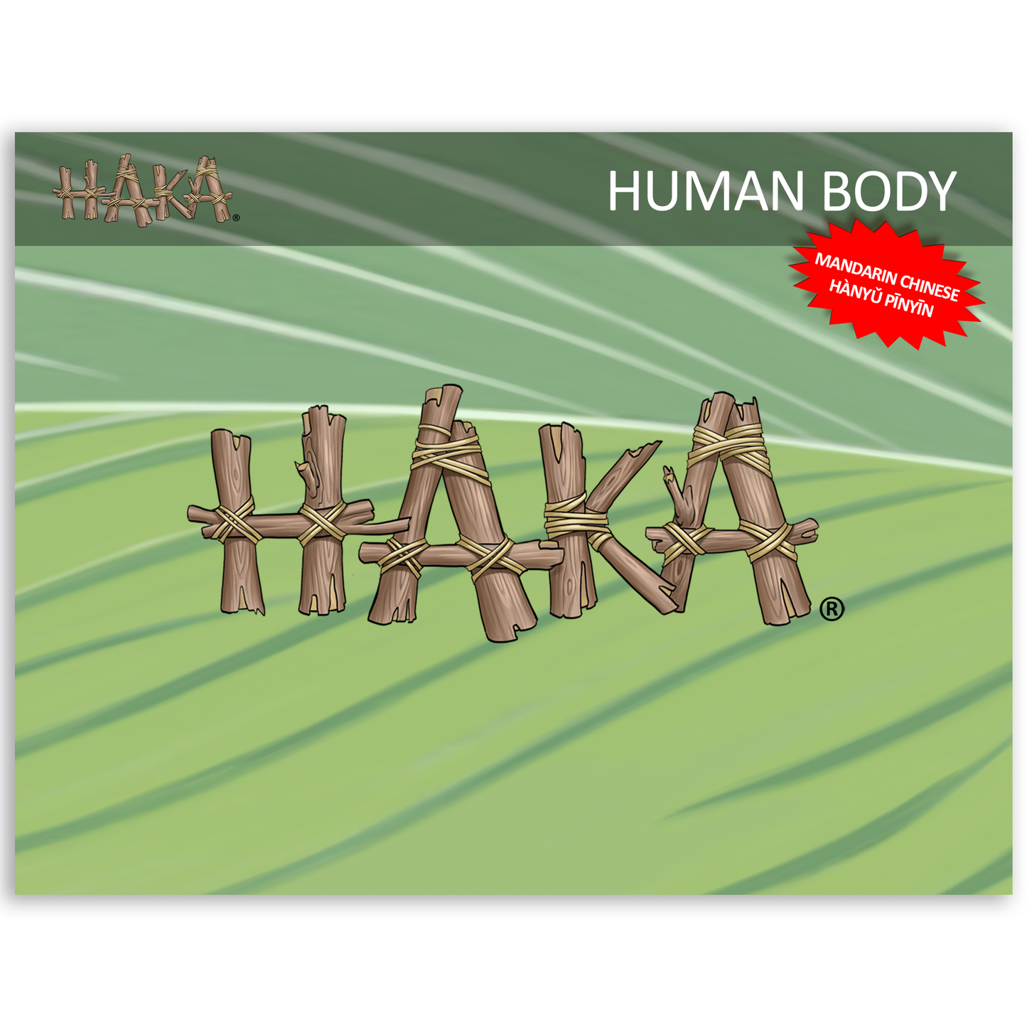 Haka Human Body Program