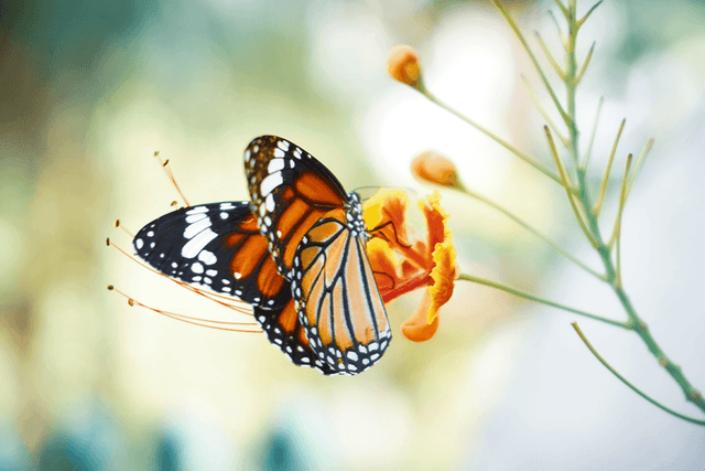 5 Consequences of Being Overly Helpful
