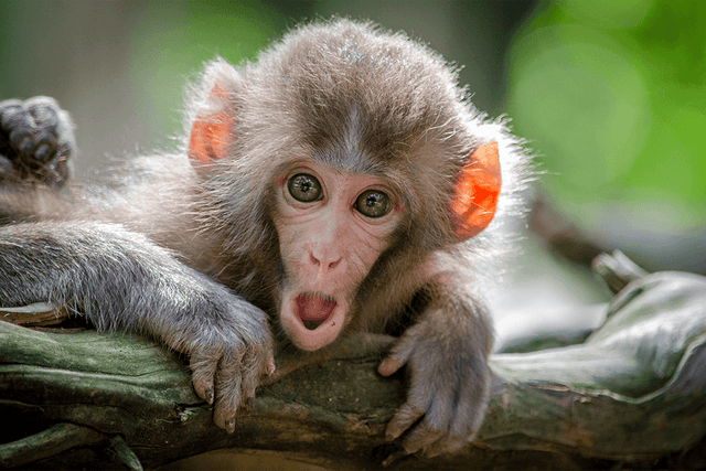 Discover How to Break Free from Your Paradigms in 7 Steps
