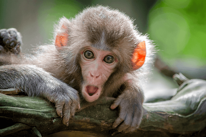 Discover How to Break Free from Your Paradigms in 7 Steps