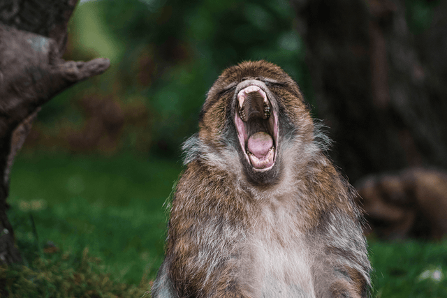 7 Reflections and Alternatives to Yelling