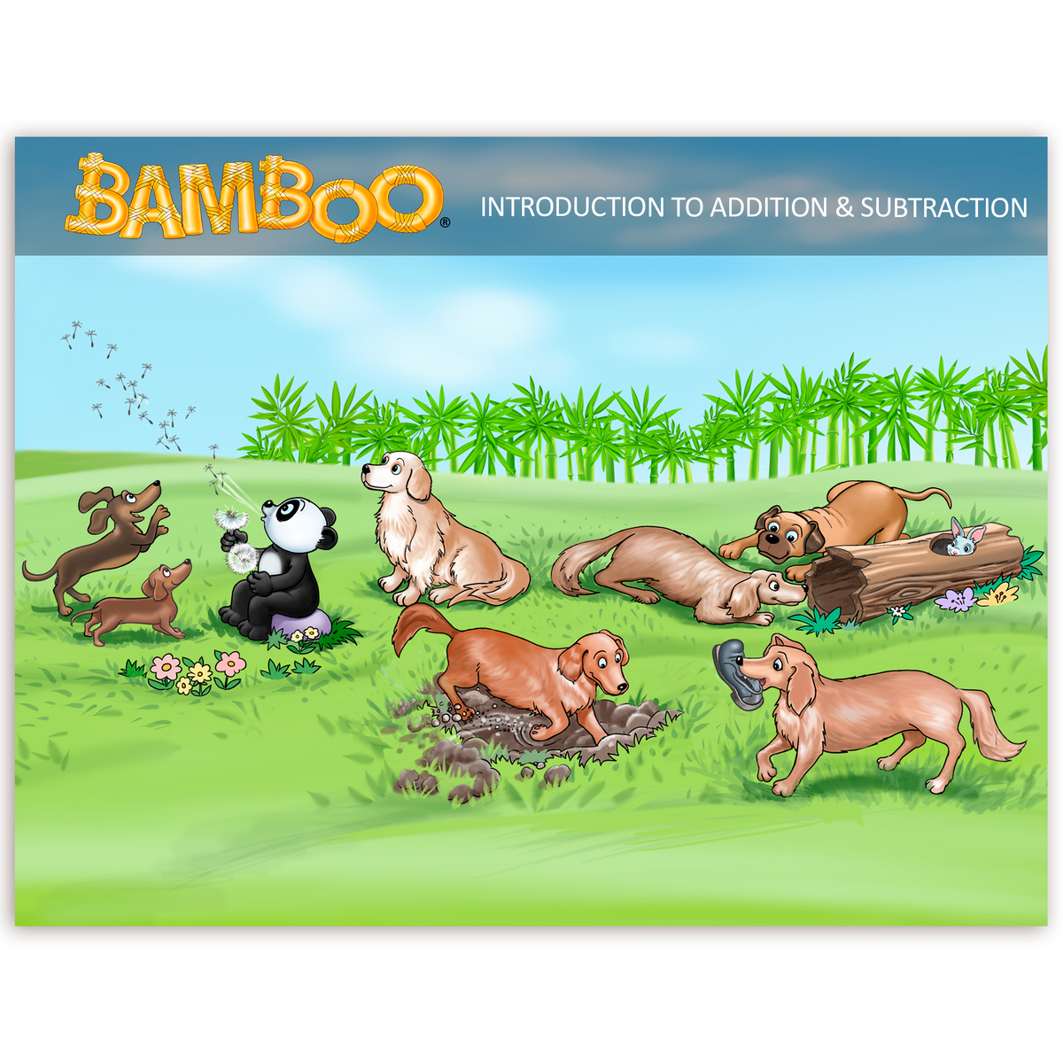Bamboo Introduction To Addition & Subtraction Program