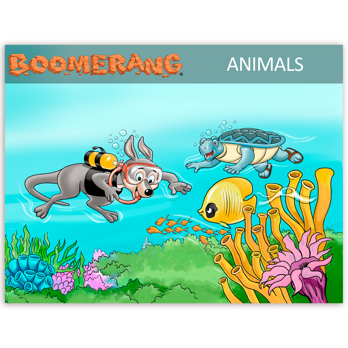 Boomerang Animals Program