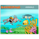 Boomerang Animals Program