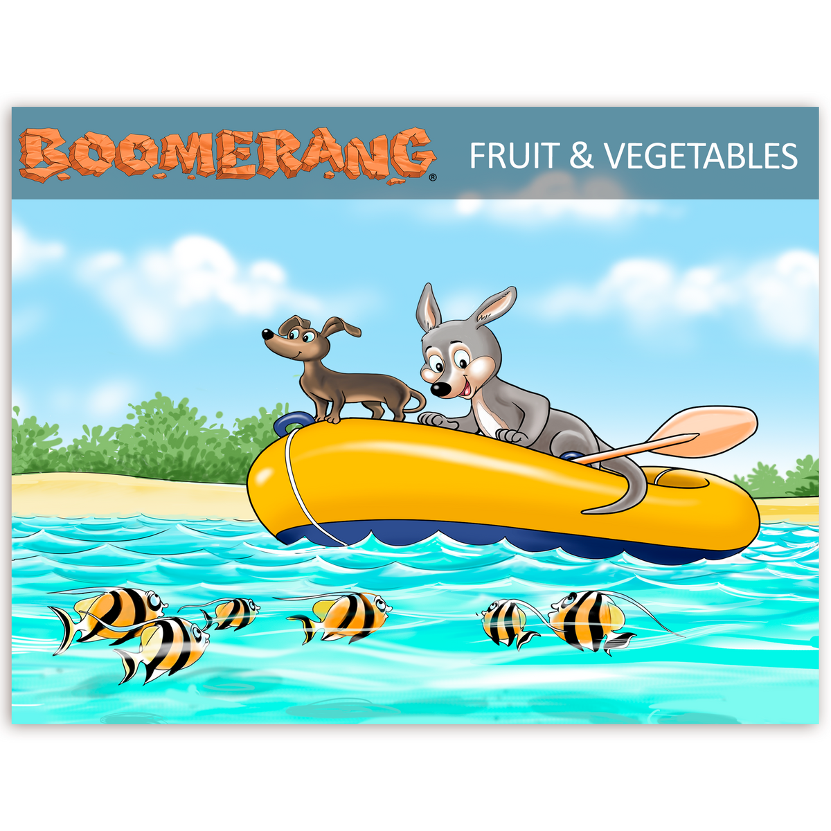 Boomerang Fruit & Vegetables Program