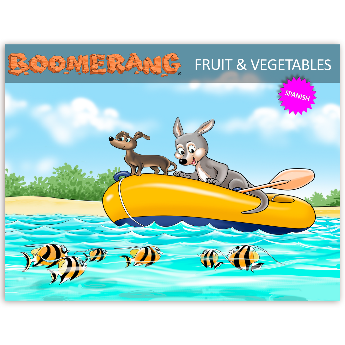 Boomerang Fruit & Vegetables Program