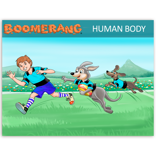 Boomerang Human Body Program