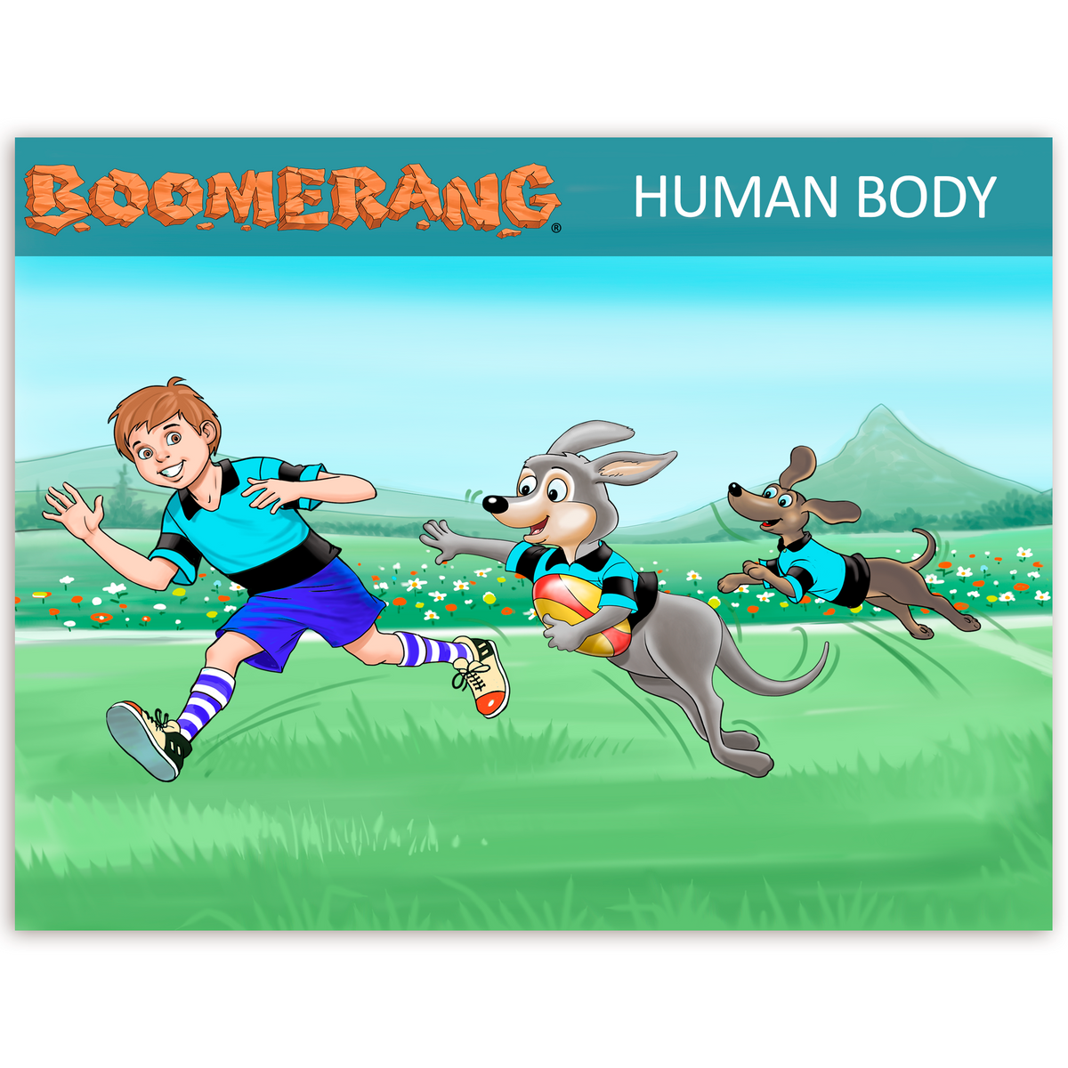 Boomerang Human Body Program
