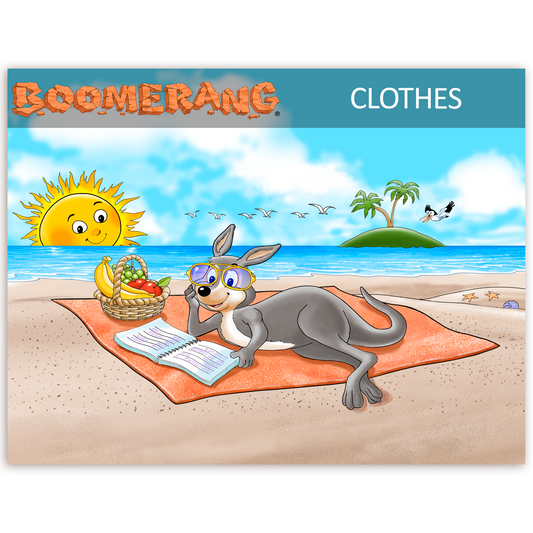 Boomerang Clothes Program