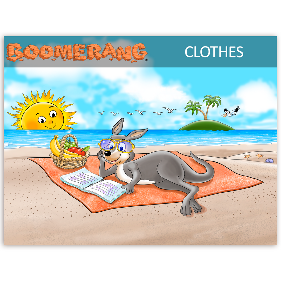 Boomerang Clothes Program