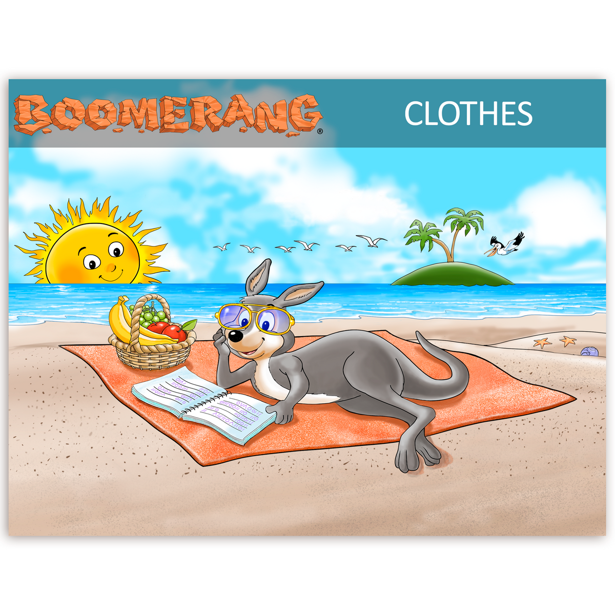 Boomerang Clothes Program