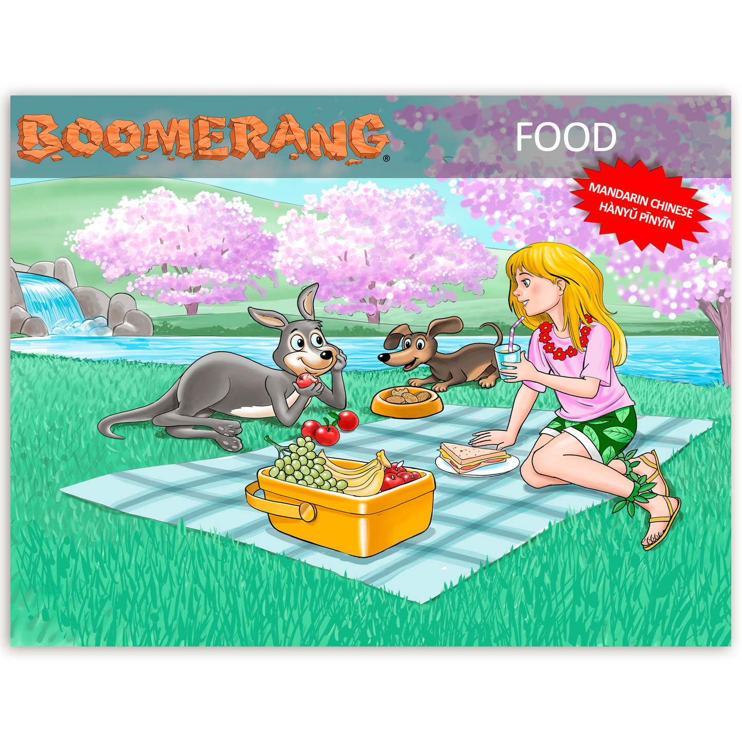 Boomerang Food Program
