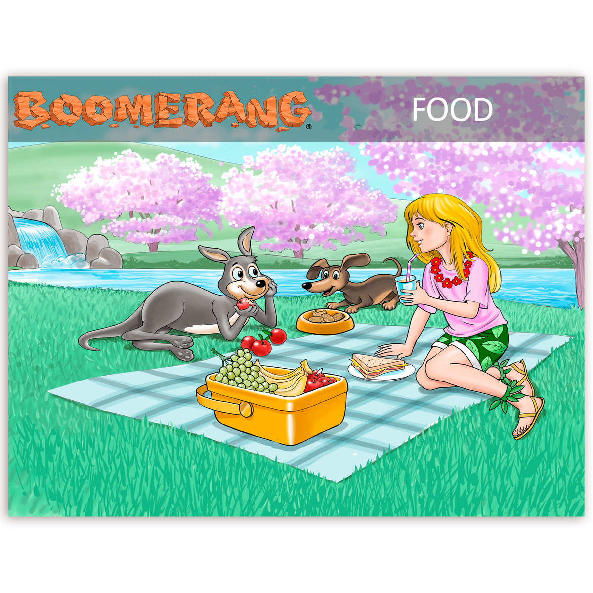 Boomerang Food Program