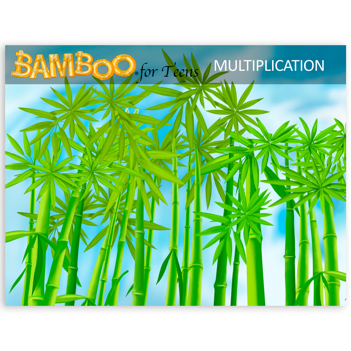 Bamboo For Teens Multiplication Program