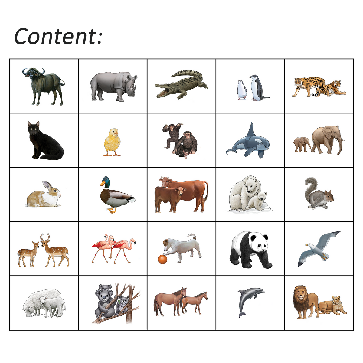 Haka Animals 2 Program