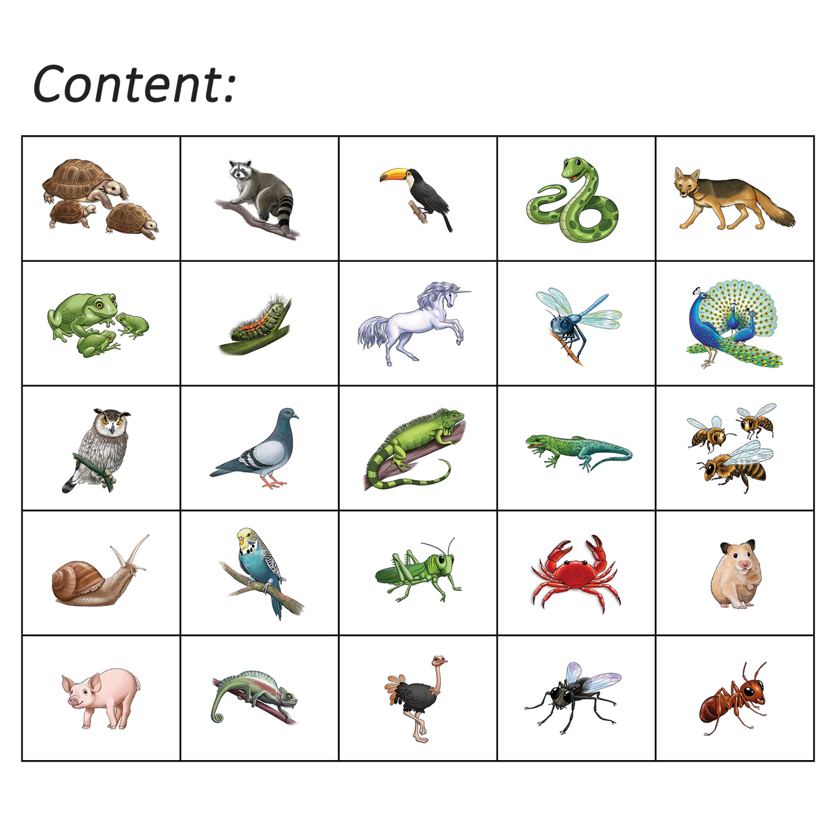 Haka Animals 3 Program