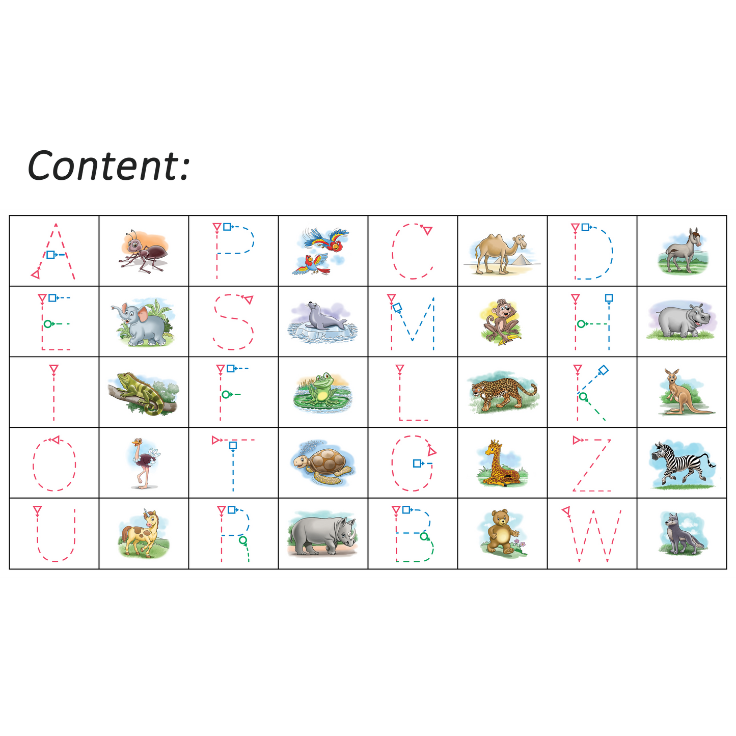 Boomerang Letters Program