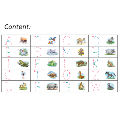 Boomerang Letters Program