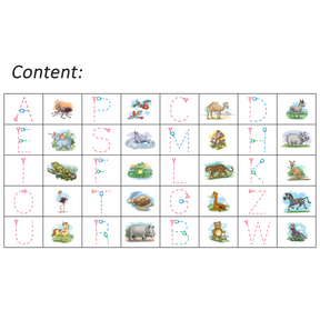 Boomerang Letters Program