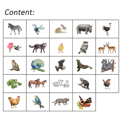 Shaka Animals 2 Program