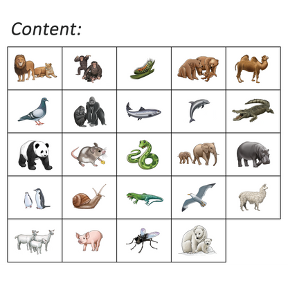 Shaka Animals 3 Program
