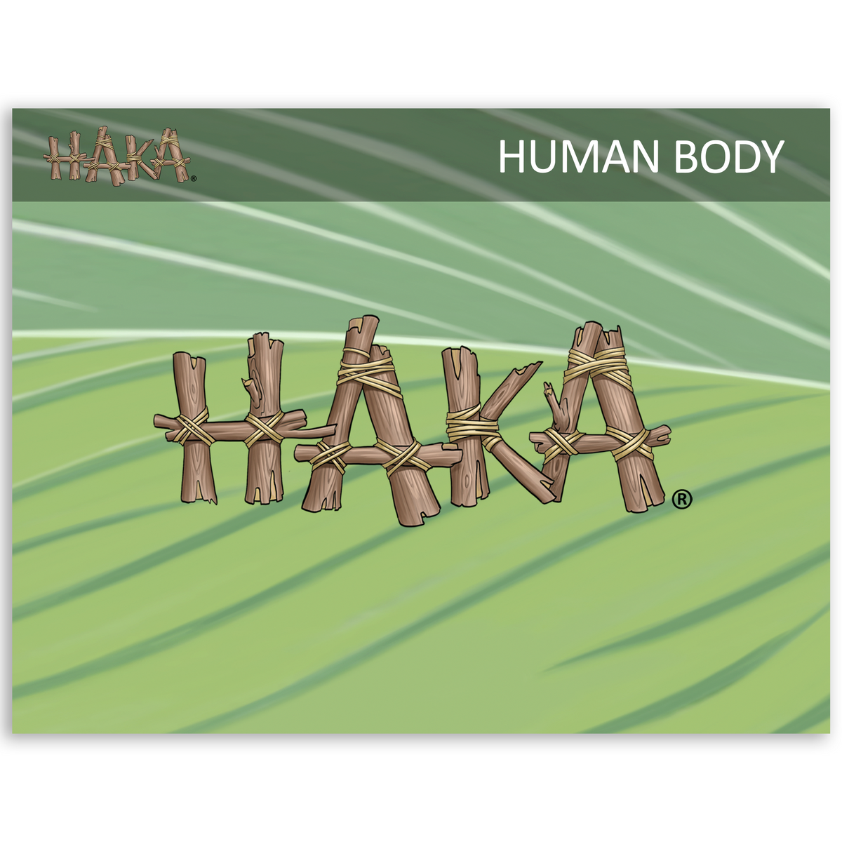Haka Human Body Program